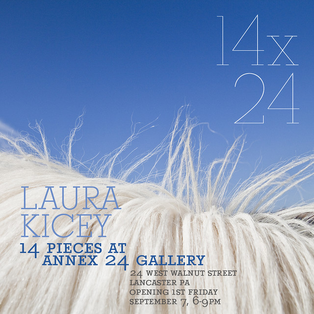14x24: photos by laura kicey at annex 24 gallery
