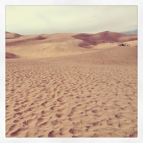 #greatsanddunesnationalpark #sanddunesnationalpark #sanddunes | by ohhenry415