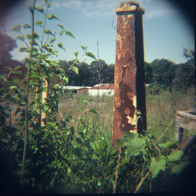Rust and weeds