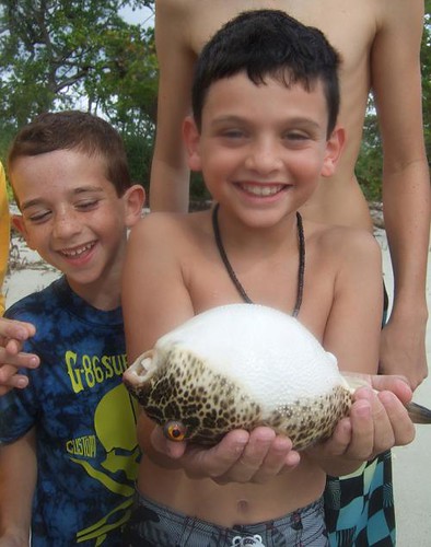Aaron and Sammy with a checkered pufferfish