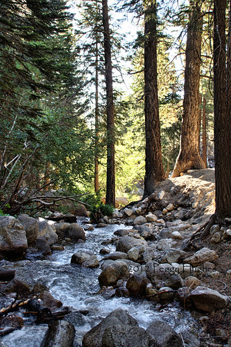 california morning camping trees mountains nature water vertical creek sunrise rocks stream pines mtwhitney peggy sierranevada easternsierras ©allrightsreserved ©peggyhughes