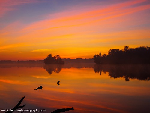 autumn lake berlin sunrise germany dawn see herbst reflexions sonnenaufgang spiegelungen steppenwolf33