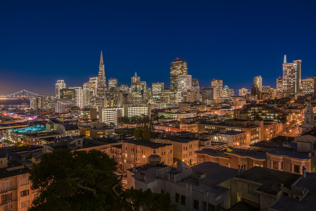 View of San Francisco Skyline from Ina Coolbrith Park