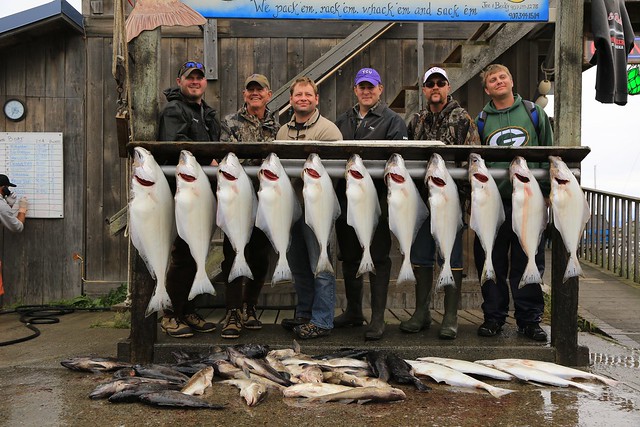 A Great Day's Catch Fishermen Halibut Homer Cook Inlet Kenai Peninsula Alaska 