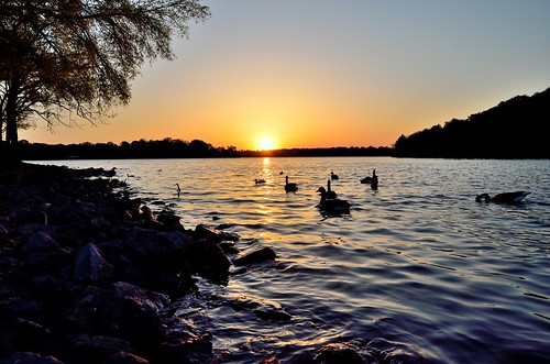 old sunset lake geese branch nashville tennessee ducks shore area access recreation hickory shutes