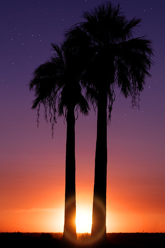 Sunset by Cruzin Canines Photography, Tonight's sunset at Panorama Park. california trees sunset sky sunlight color nature night canon sta