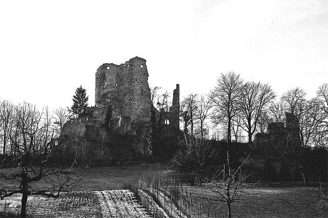 002_Ruine_Pfeffingen_1978