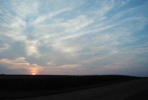 sunset minnesota rural cornfield farm fairmont martincounty