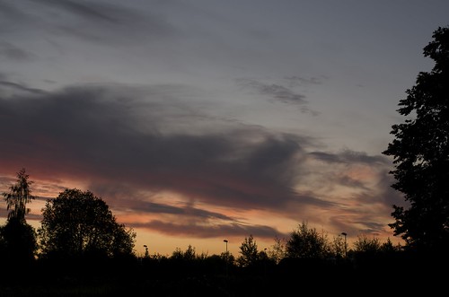 trees sunset sky colour silhouette clouds twilight raw dusk streetlights tartu pentaxk01