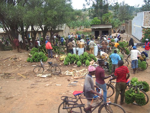 africa people bike bicycle fruit market banana uganda kampala sellers vendors eastafrica matoke mbarara southernuganda