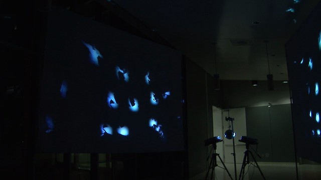 Discotrope at Cal-IT2, March 2012