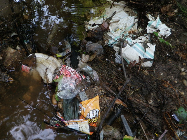 Conditions in the Berkshire section of Bread and Cheese Creek before our Fall 9/15/12 cleanup.