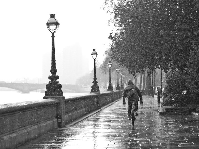 Chelsea Embankment in the rain.