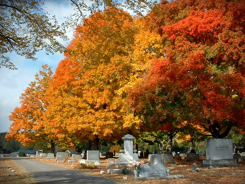 autumn orange fall cemetery grave graveyard yellow tennessee fallcolors headstone tombstone smyrna mapleview rutherfordcounty mapleviewcemetery cgth