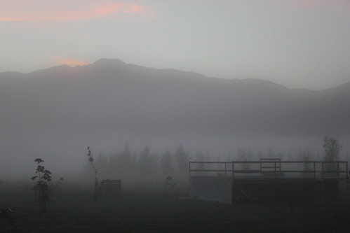 Fog everywhere yo | by caseyhemingway