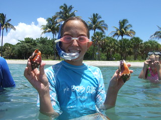 Harper finds 2 more fighting conchs.