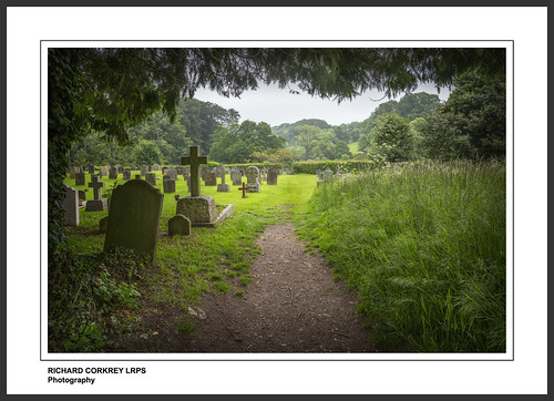 trees tree church cemetery grave grass landscape hampshire churchyard