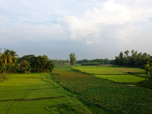 bridge green nature field bangladesh madla bogra