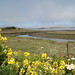 Flickr photo 'Bodega Bay' by: Elaine with Grey Cats.