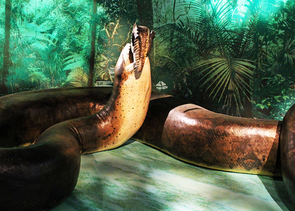 Titanoboa 1