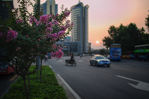 新城日落 sunset in new city by 战斗产, 中国 西安 道路 花草 陕西省 闲逛 日出日落