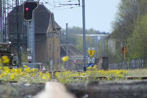 flowers plants nature landscape scenery track view belgium natural trains infrastructure railways nmbs permanentway sncb