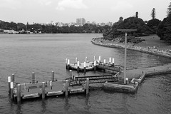 Lady Macquarie's Chair from Opera House B&W
