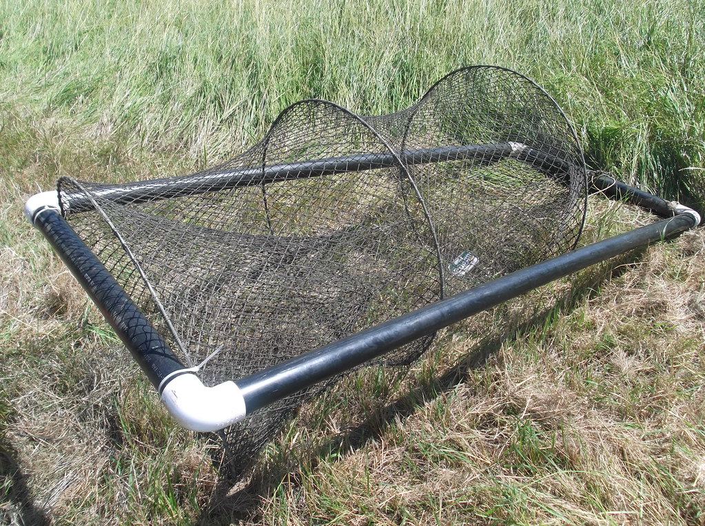 Turtle Trap, This is one of the tools biologists use to cat…