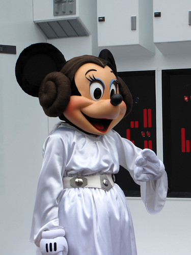 Princess Leia Minnie | by disneylori