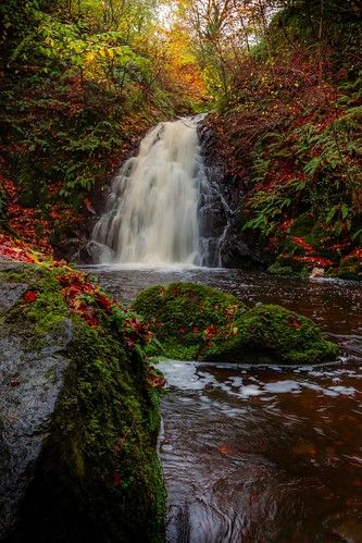 autumn ireland red green fall river waterfall moss stream northernireland colourful serine