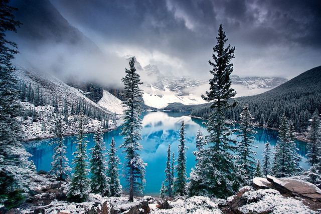 Moraine lake and forest
