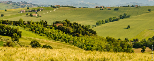 corinaldo italië landschap marche it italy landscape groen green