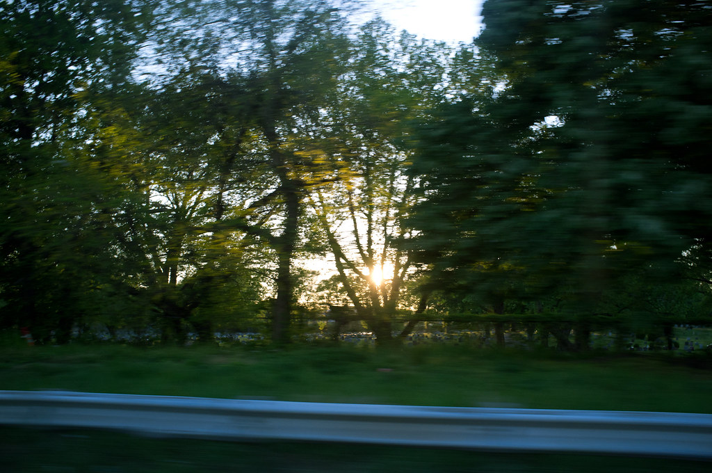 Roadside view from a moving car showing a metal guardrail and golden sun bursting through green trees.