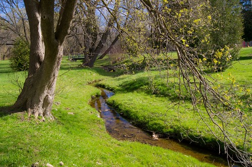 park bridge trees ontario canada water stream brook crooked meandering stayner clearviewtownship ourdailychallenge