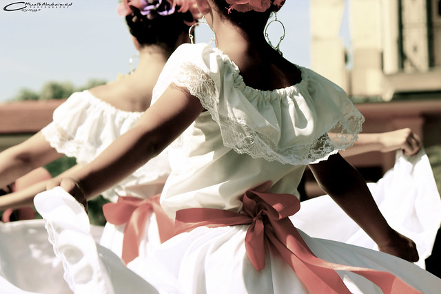 Flamenco Movement