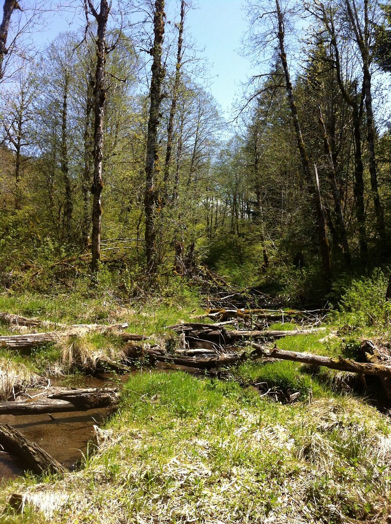 Tickle Creek Trail