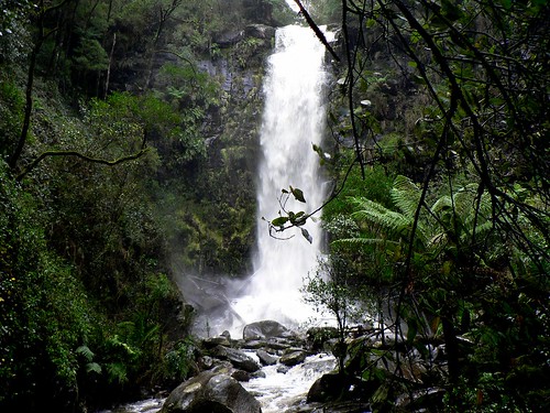 waterfall australia victoria raining bushwalk otways lorne erskineriver erskinefalls