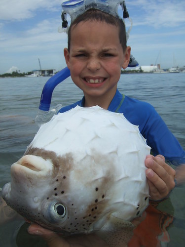 Fletcher with a giant porcupinefish!