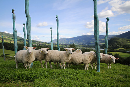 sculpture art wool norway sheep farm lamb sigma1020mm gudbrandsdalen flokk grytting sygard