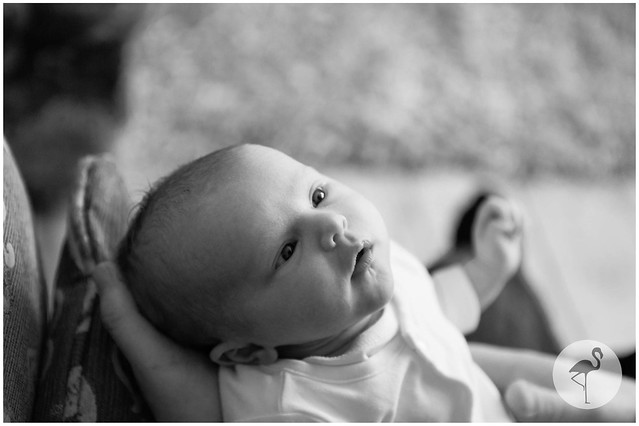 Bath-newborn-photography-2