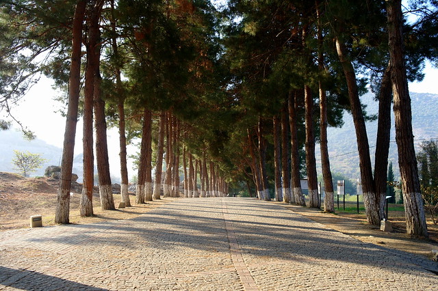 The Road to Ephesus