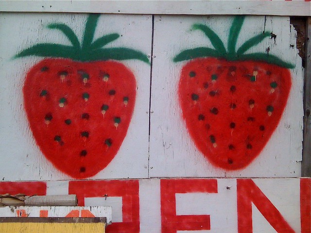 Berry Iconic