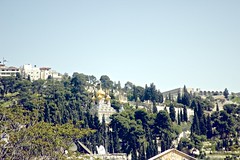 Jerusalem // יְרוּשָׁלַיִם // القُدس // יְרוּשְׁלֶם - Mount of Olives