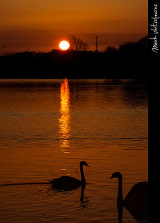 Sunrise | Yeadon Tarn - 28th March 2012