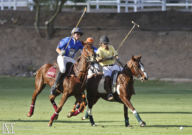 Polo Match Action