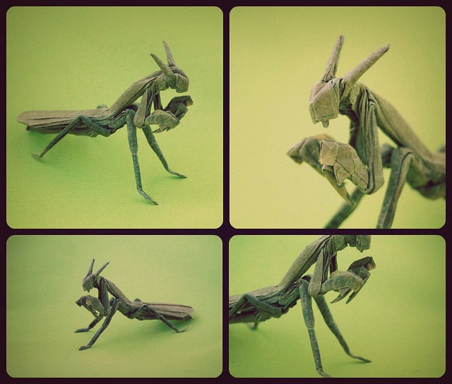 Praying Mantis HP | Praying Mantis Hex Pleated Designed by m… | Flickr