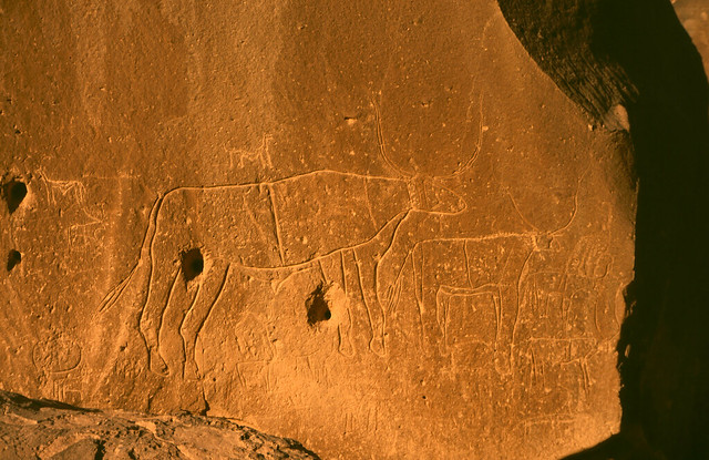 rock carvings in enneri gonoa