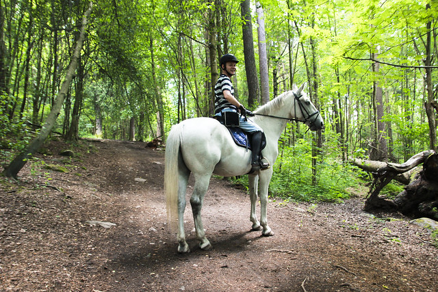Frode Riis ridetur på Ekebergskogen