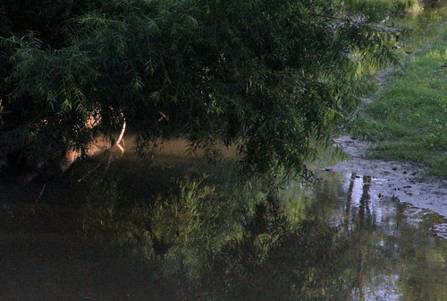 water creek genevaindiana limberlostcreek