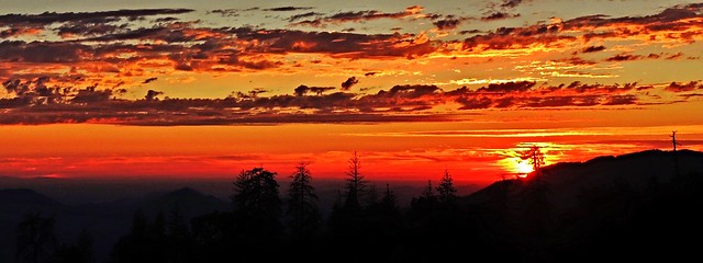 sunset at sequoia....